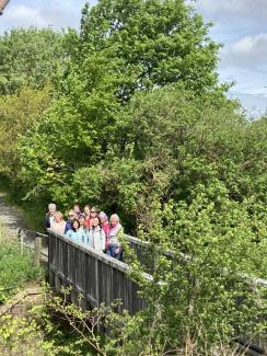 Good Connections Wellbeing Walks